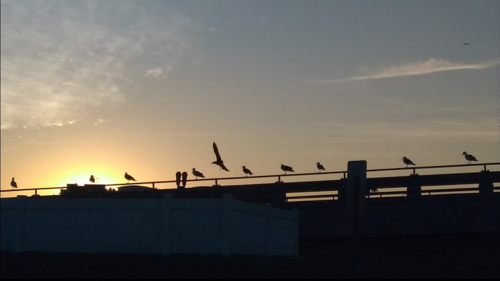 New Year, New Day, New&nbsp;Beginnings